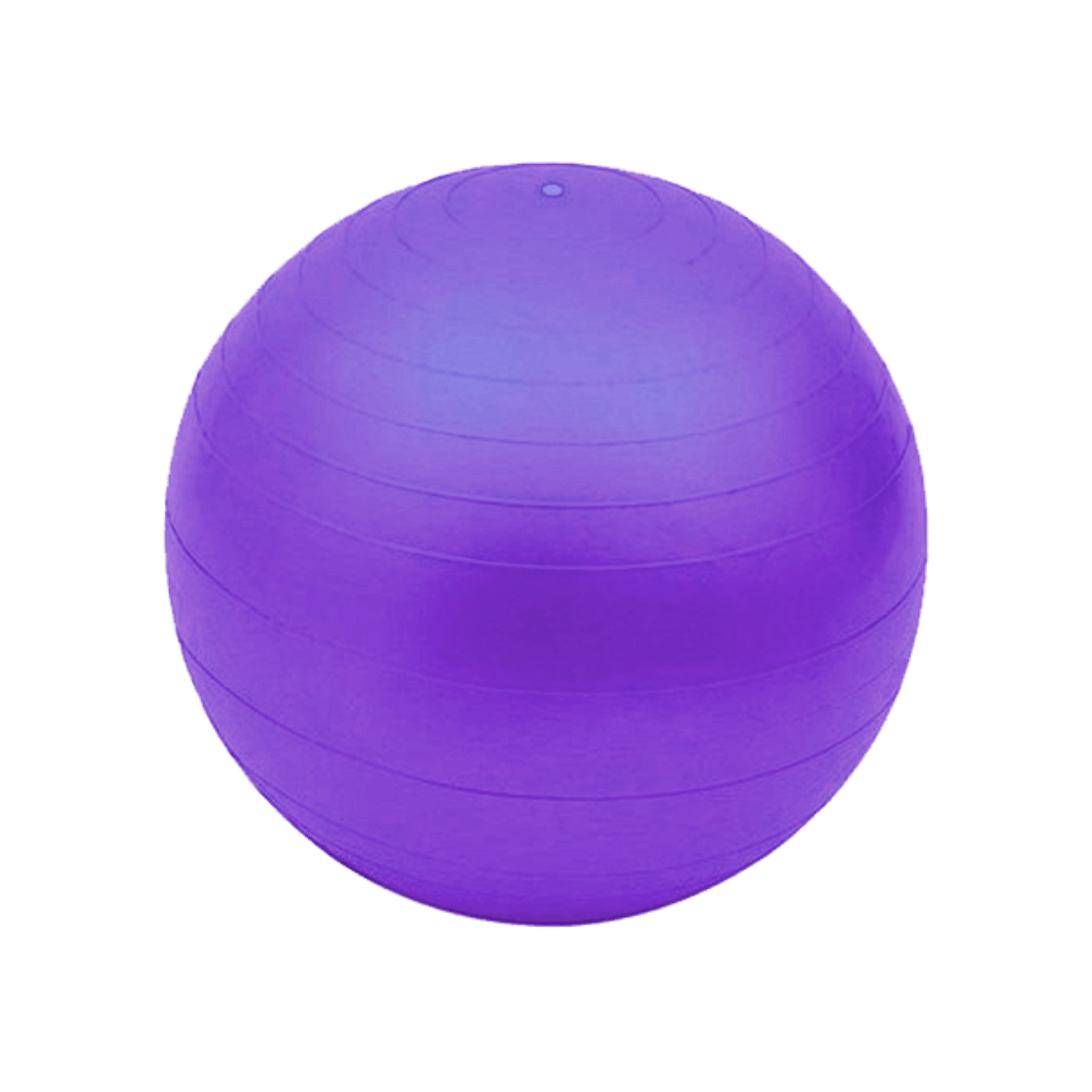 Yoga - Accesorios de Gym - Esfera para Yoga y Pilates PVC Violeta - Esferodinamia - Shantala SA - ACCNYPESFVT