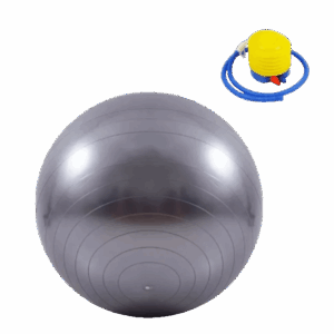 Yoga Accesorios de Gym Esfera para Yoga y Pilates PVC Esferodinamia Shantala SA ACCNYPESFPL
