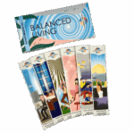 Sahumerio HEM Kit Emprendedor 2 Shantala SA SHEMKE2 6